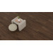 Ламінат Stepclick Classic plus KT502 Lussac Ash