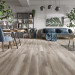 Ламінат Classen Trend 4V WR 52601 Дуб Мамрі