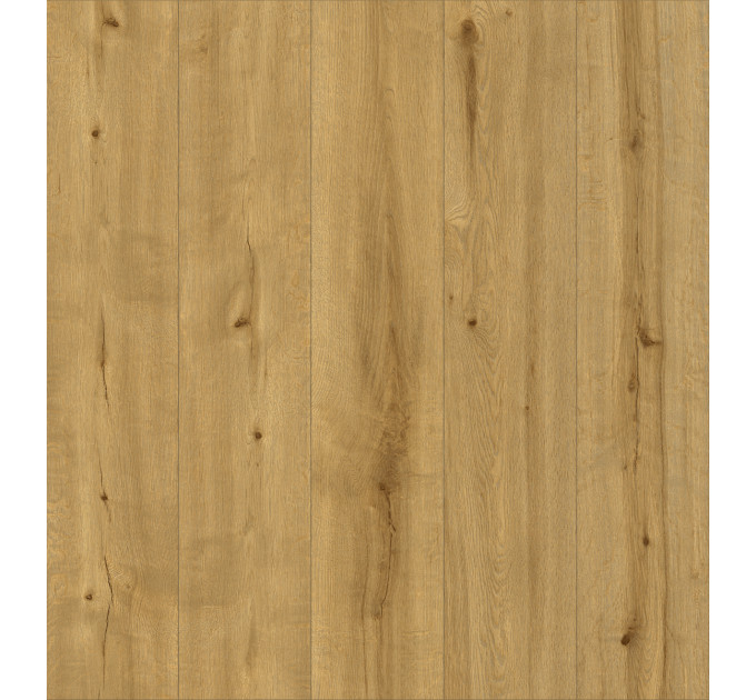 Вінілова підлога Ceramin Pro Nature 62543 Caldas