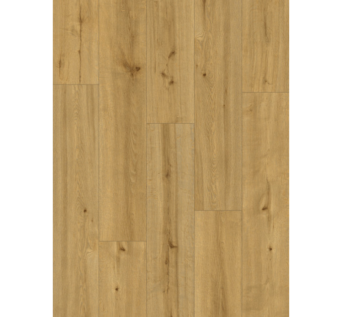 Вінілова підлога Ceramin Pro Nature 62543 Caldas