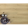 Виниловый пол Arbiton Amaron Wood CAS 228 Princeton Oak