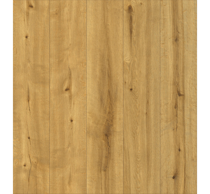 Вінілова підлога Ceramin Pro Nature 62538 Soledad