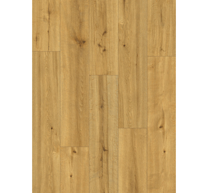 Вінілова підлога Ceramin Pro Nature 62538 Soledad