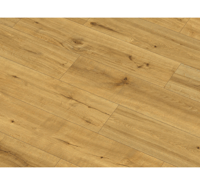 Вінілова підлога Ceramin Pro Nature 62538 Soledad