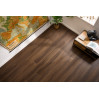 Виниловый пол Arbiton Amaron Superiore CASS 225 Segovia Oak