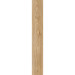 Виниловый пол Moduleo Roots INTOO 55 Sierra Oak 58346