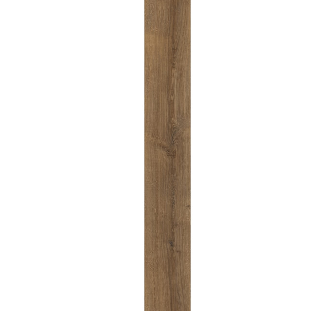 Вінілова підлога Moduleo Roots INTOO 55 Galway Oak 87832