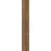 Вінілова підлога Moduleo Roots INTOO 55 Galway Oak 87832