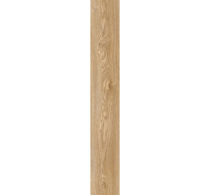 Вінілова підлога Moduleo Roots Sierra Oak 58346
