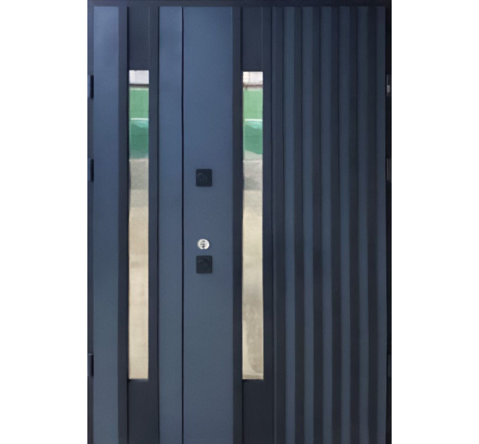 Входные двери STRAJ PROOF Rio-S Loft 1200 - В котедж