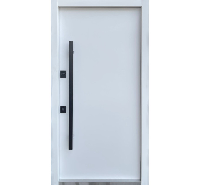 Вхідні двері STRAJ Stability Hardy Loft - Вуличні
