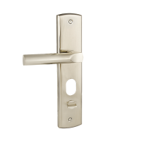 РУЧКА ДЛЯ МЕТАЛЛИЧЕСКИХ ДВЕРЕЙ FORTE MD-1000R SN