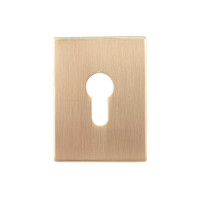 Декоративная накладка Protect под цилиндр 60X80mm SG мат золото