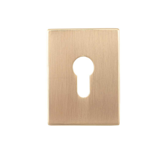 Декоративна накладка Protect під циліндр 60X80mm SG мат золото