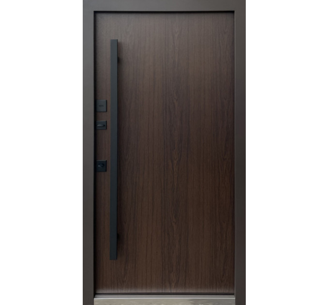 Дверь входная Qdoors Горизонт 3К ручка DMD 8019 8019/ дуб темный