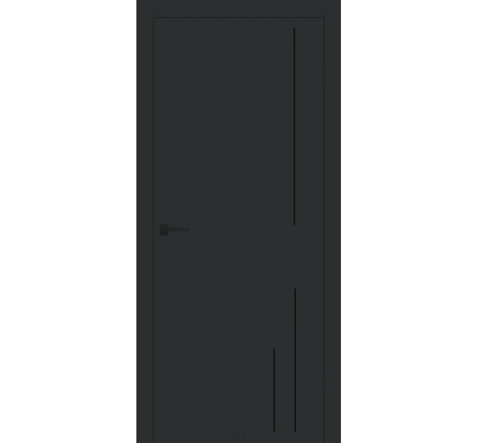 Animas RAL 7016 антрацит крашеные глухие молдинг черный